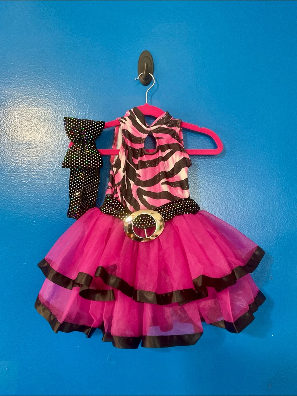 Fuchsia Zebra Tulle Dance Costume “Jungle Party”